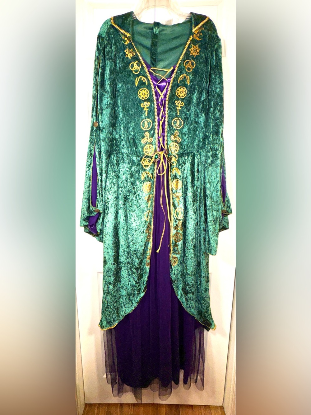 Disney Hocus Pocus Winifred Sanderson Costume 2X Cape Wig Teeth Set